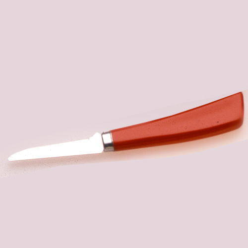Food skills 23 pairing knife